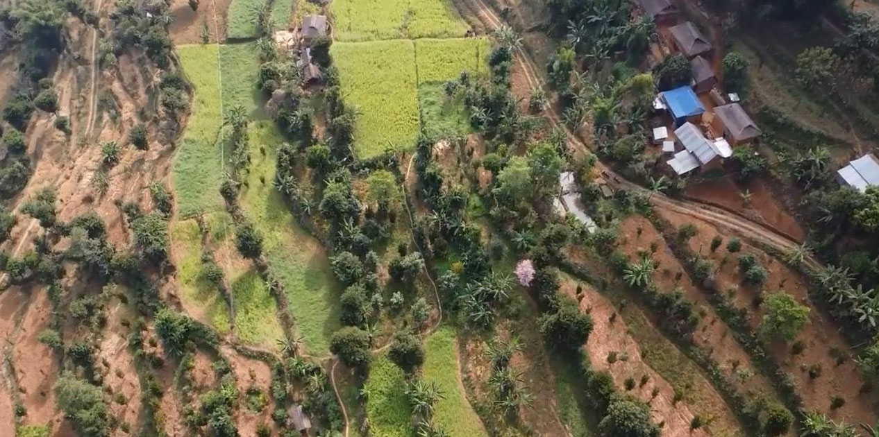 व्यावसायिक फलफूल खेतीतर्फ भुल्केका किसानको आकर्षण