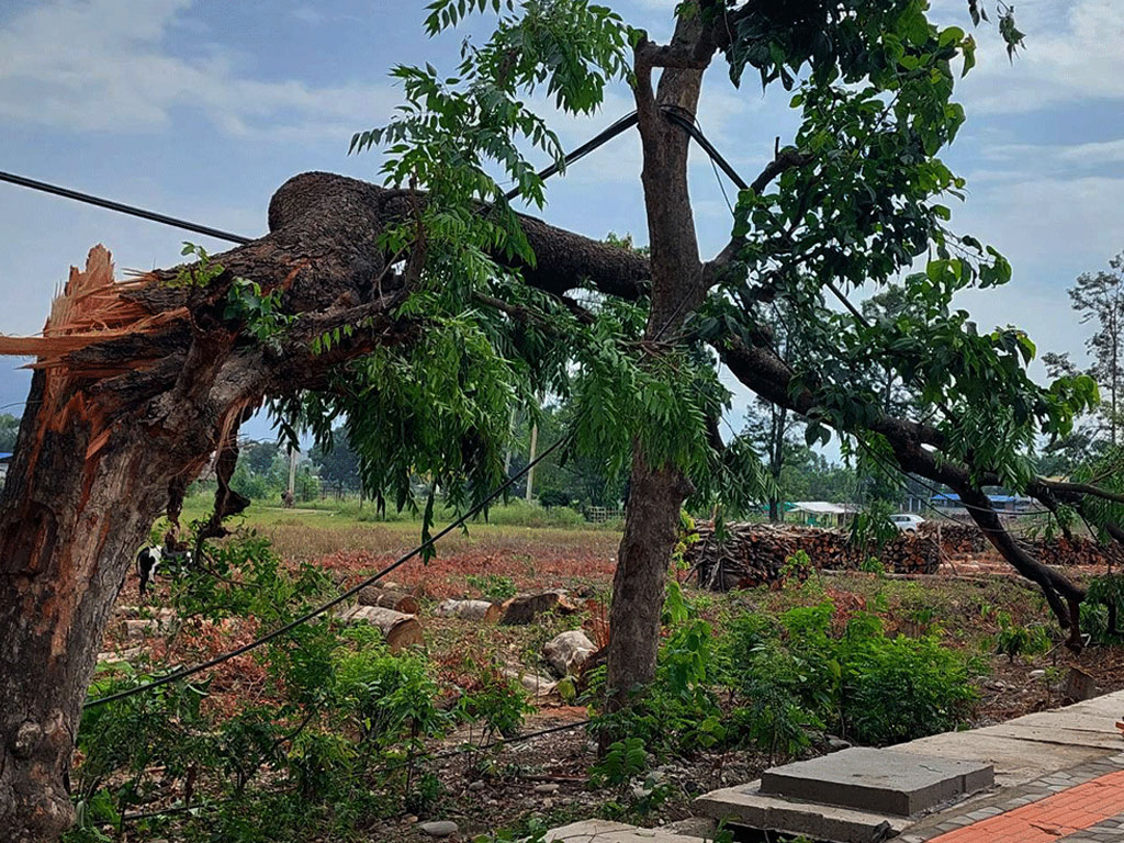 उदयपुरमा हुरीबतासले रुख ढलेर दुईको मृत्यु, ६ घाइते