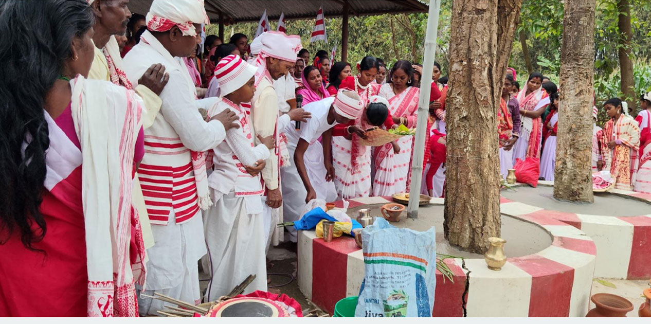 उराँव समुदायले मनाए सरहुल पर्व