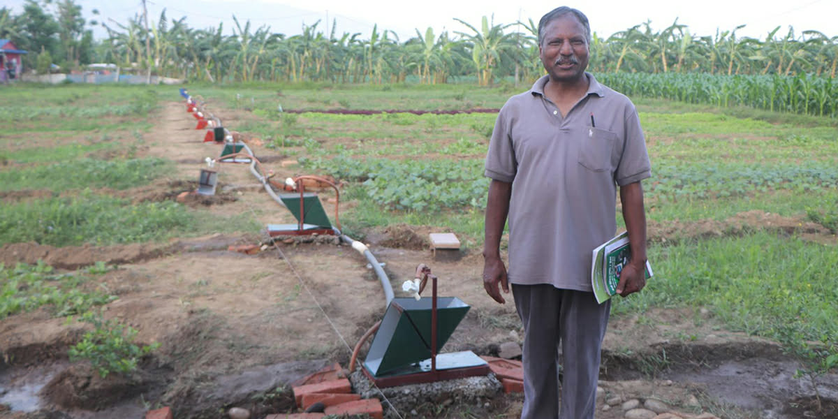 अवकाशप्राप्त प्राध्यापक आविष्कार बोकेर खेतबारीमा