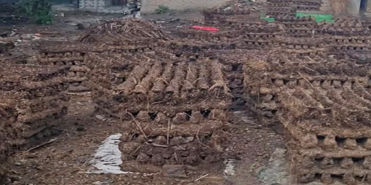 रौतहटको ग्रामीण क्षेत्रमा वैकल्पिक ऊर्जाको प्रयोग गरिँदै