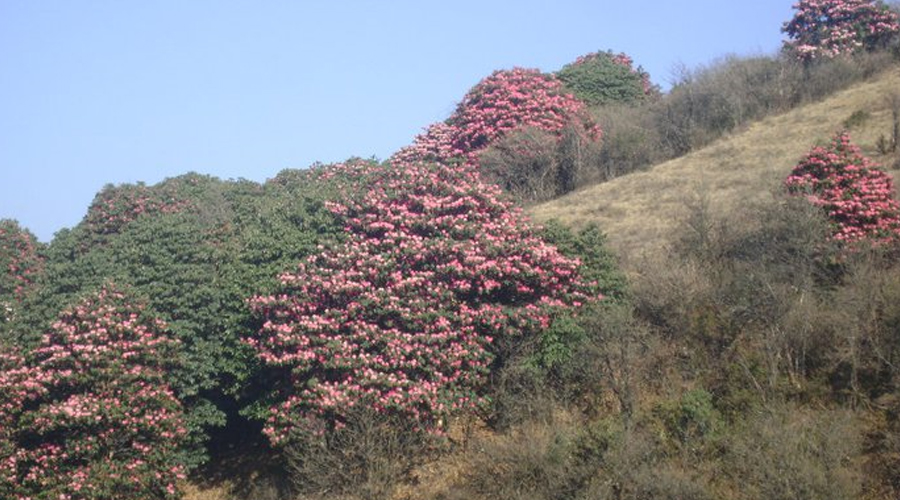 संघीयता कार्यान्वयनमा चुनौती भयो : मुख्यमन्त्री कँडेल