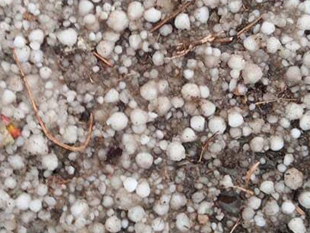 असिनाले ७४ सवारीसाधनमा क्षति