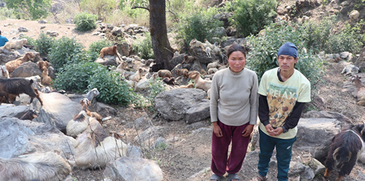 विदेशबाट फर्किएका भीम, घुम्तीगोठले बनाए आत्मनिर्भर