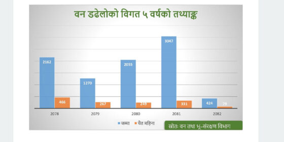 मनसुन पूर्वको वर्षाले घटायो वन डढेलो
