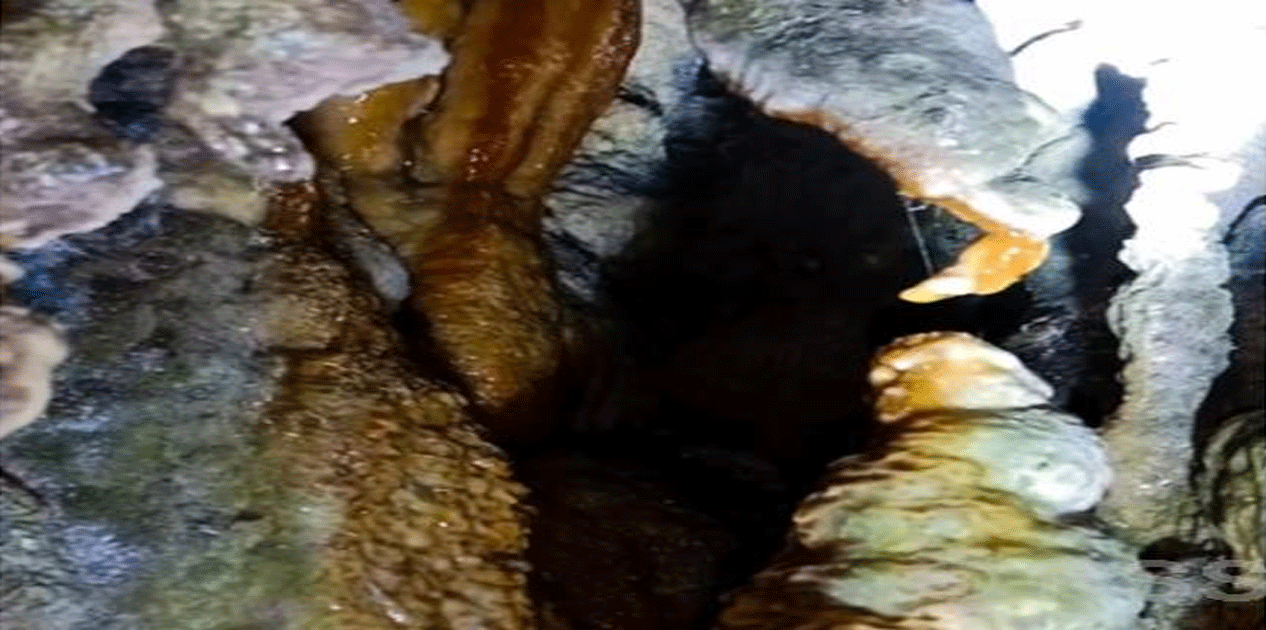 पूर्वाधारका पर्खाइमा अनौठो ‘पाउद्वार मुर्ताला धार्मिक गुफा’