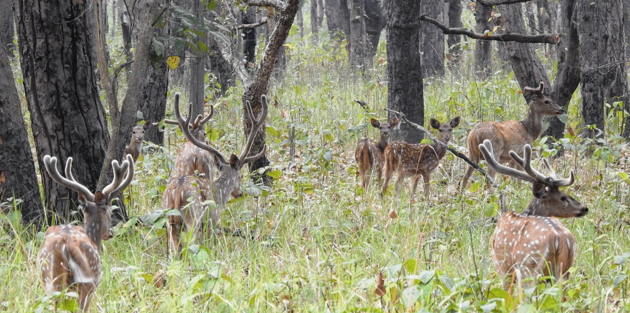 छ महिनामा दुई हजार छ सय पर्यटकले गरे शुक्लाफाँटा भ्रमण