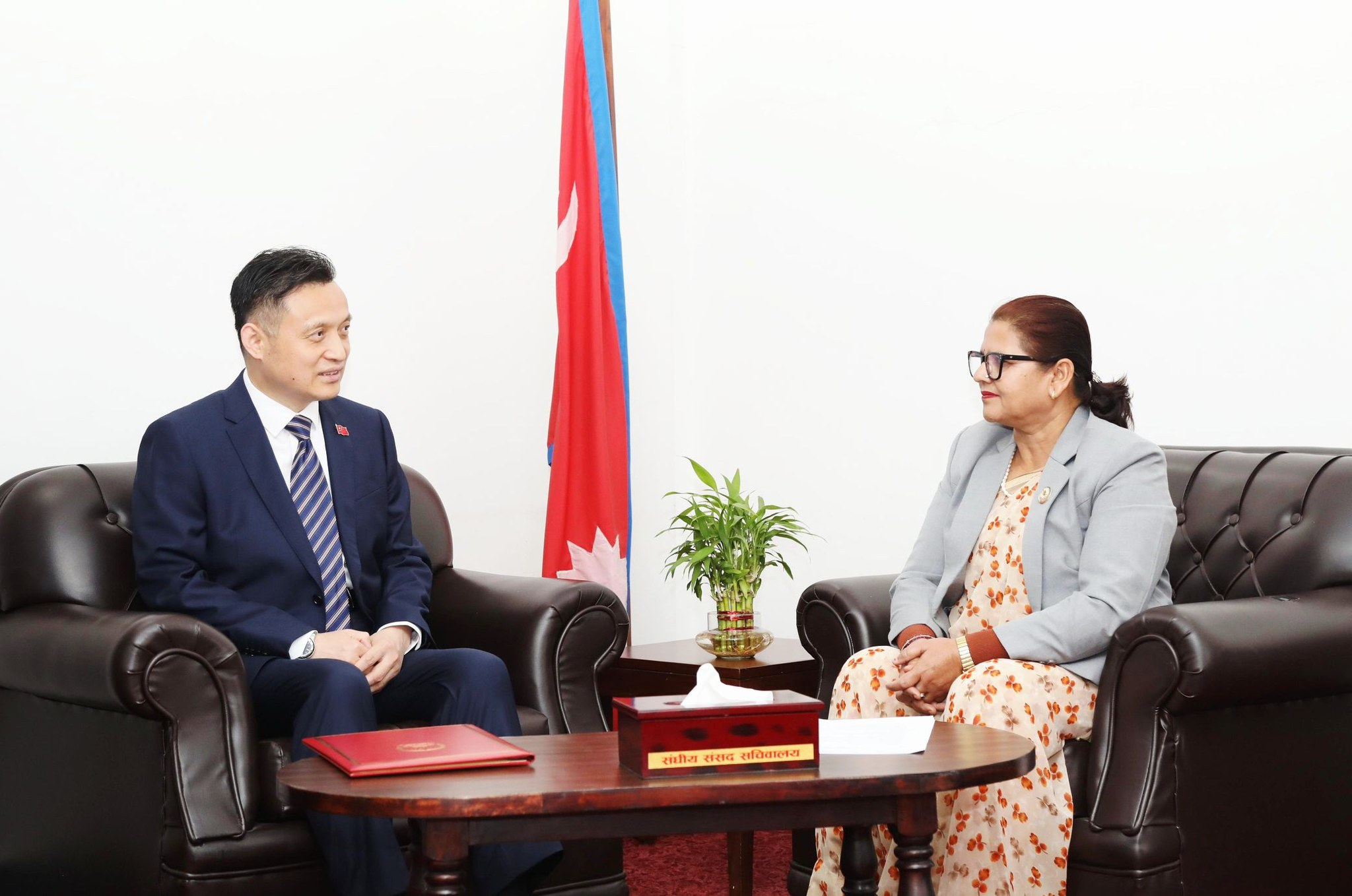 राष्ट्रियसभा उपाध्यक्षसँग चिनियाँ राजदूतको शिष्टाचार भेटवार्ता