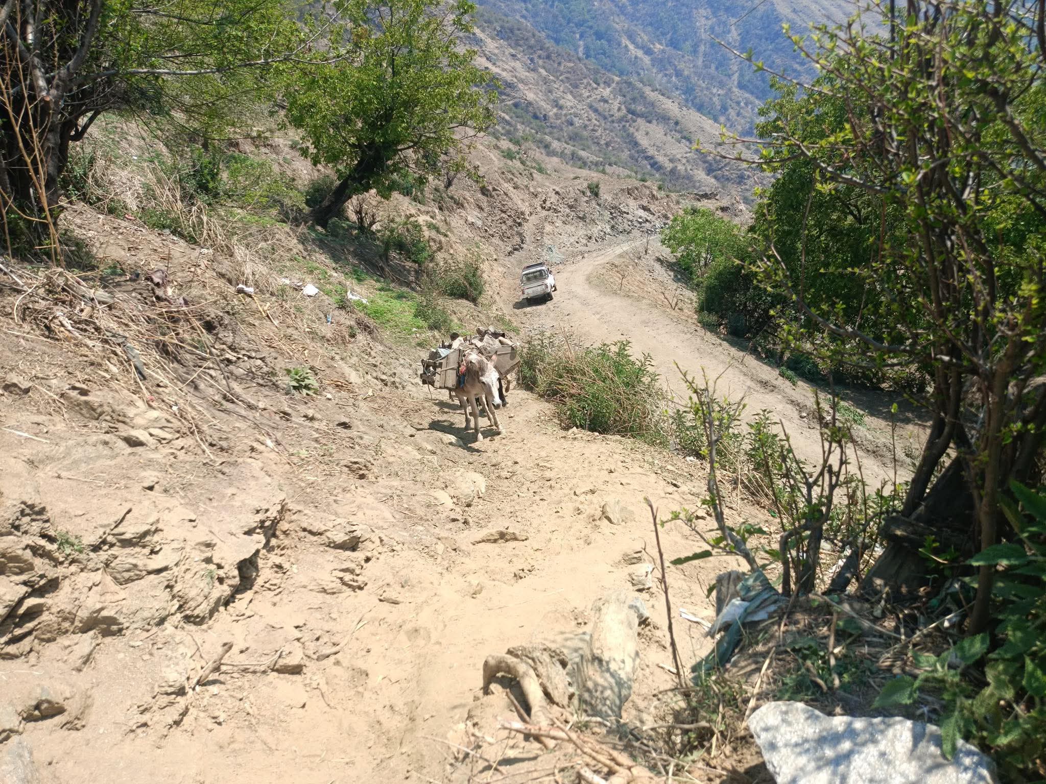 सडक सञ्जाल नजोडिएको दूरदराजमा खच्चड व्यवसायी विस्थापित