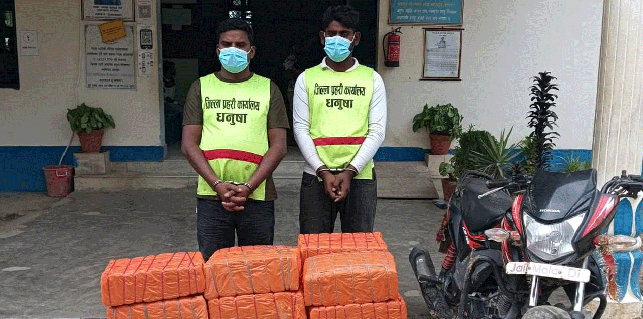 धनुषामा १३७ केजी लागूऔषध बरामद, दुई जना नियन्त्रणमा
