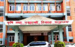 अब बाली रोप्नुअघि मूल्य निर्धारण हुने: कुन-कुन महिनामा हुन्छ सिफारिस ?