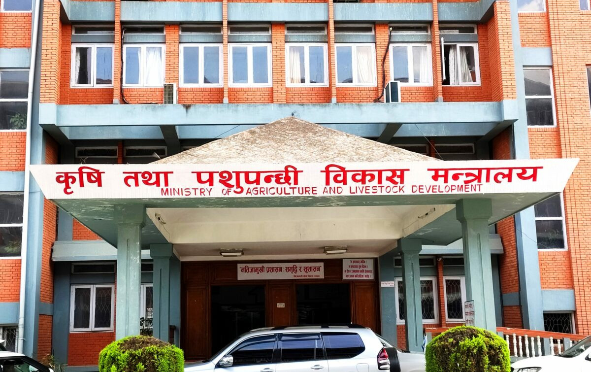 अब बाली रोप्नुअघि मूल्य निर्धारण हुने: कुन-कुन महिनामा हुन्छ सिफारिस ?