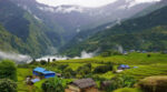 संखुवासभामा पहिरोले २१८ भेडा पुरिए