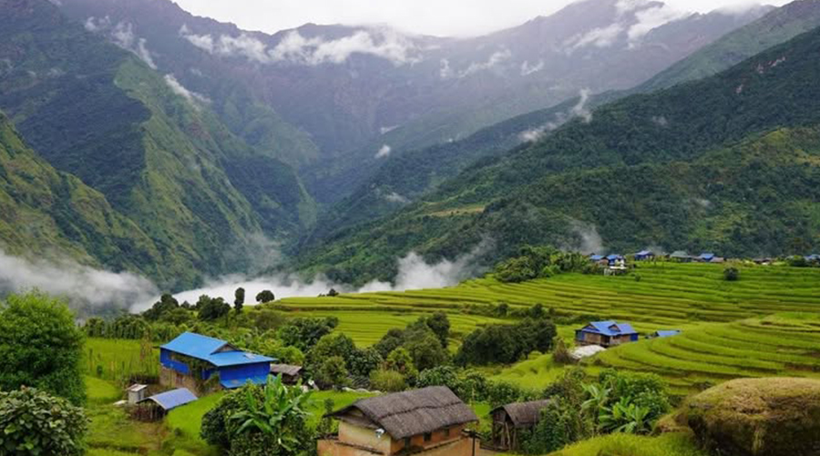 संखुवासभामा पहिरोले २१८ भेडा पुरिए