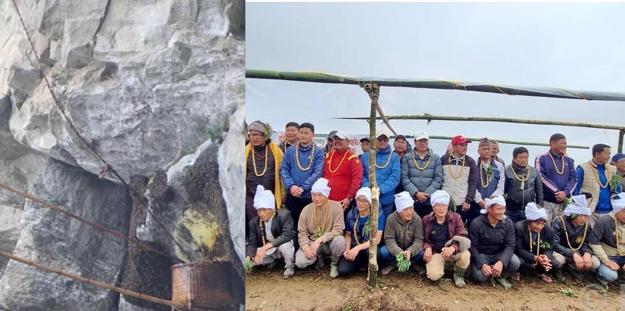 केपिलासगढीमा ‘मह सिकार महोत्सव’