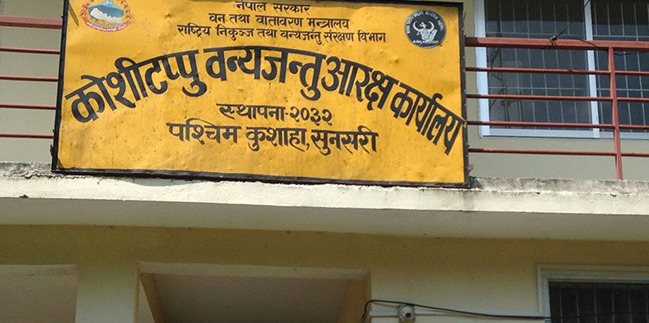 पर्यटकको रोजाइमा कोशी टप्पु
