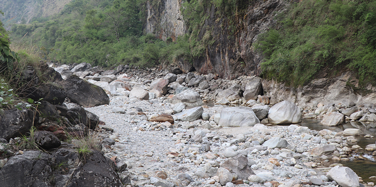 मिस्त्री खोलामा पाइन छाडे माछा