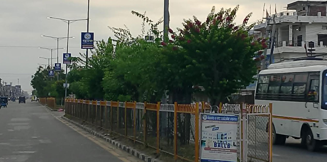 गुलमोहर र बेगमबेलीले सजिँदै नेपालगञ्ज
