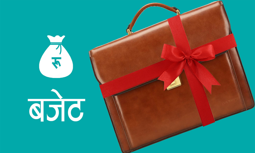 धमाधम बजेट प्रस्तुत गर्दै स्थानीय सरकार
