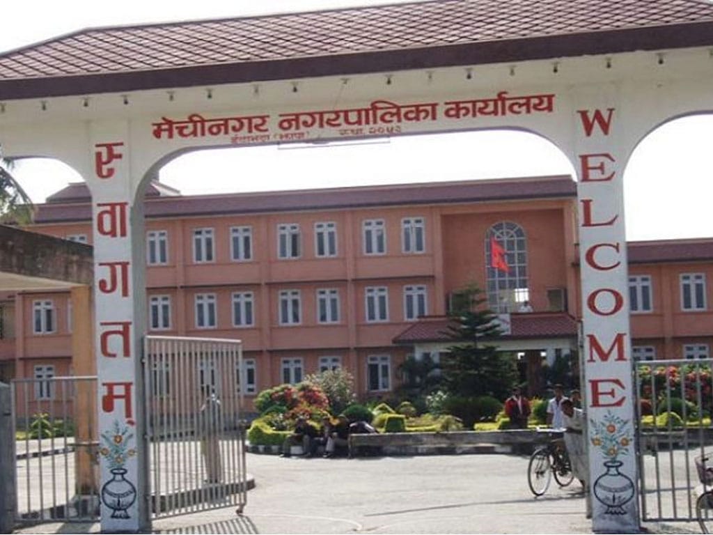 निन्दा नदी किनारमा बाढी नियन्त्रण गर्न चार हजार बाँसका बिरुवा रोपियो