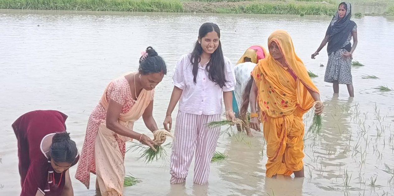 राष्ट्रिय धान दिवसमा उपसभामुख ठाकुरद्वारा आफ्नै खेतमा धान रोपाइँ