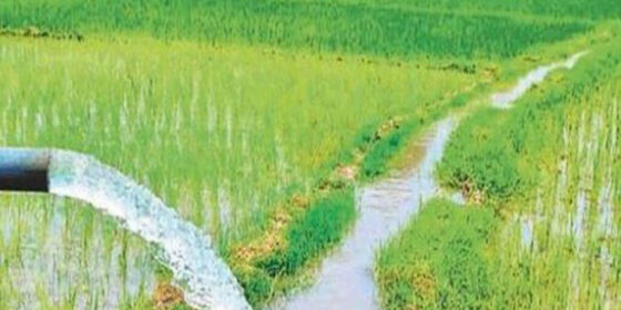 देशभर ६२.६८ प्रतिशत क्षेत्रमा मात्र सिँचाइ सुविधा