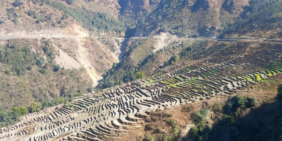 भुम्लुको लालपुर्जाविहीन समस्या अन्त्य गरिँदै