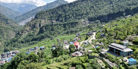 दर्मीजामा ‘होमस्टे’ को आनन्द लिन जाने होइन त?