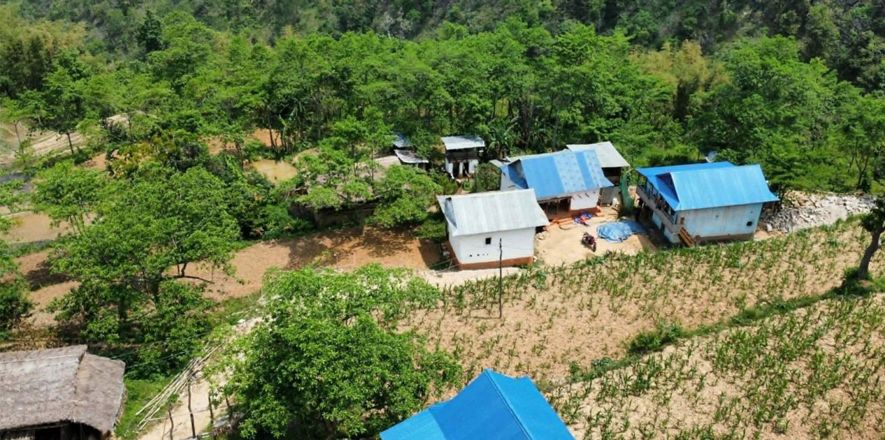 व्यावसायिक रुद्राक्ष खेतीबाट राम्रो आम्दानी गर्दै मैदानेका किसान