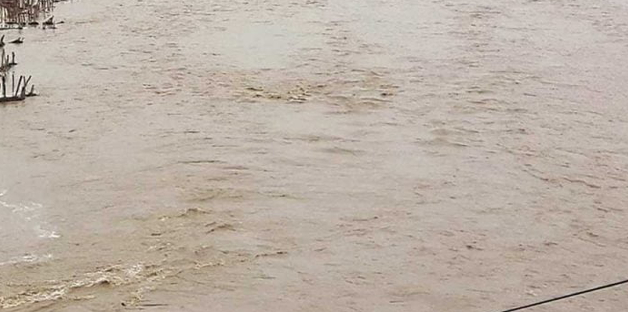 तिनाउको बाढीमा फसेका युवकको उद्धार