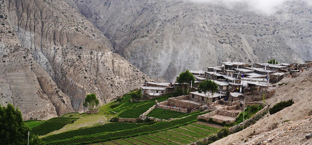 मुस्ताङमा जोन कार्यक्रमअन्तर्गत ५८ किसान सूचीकृत