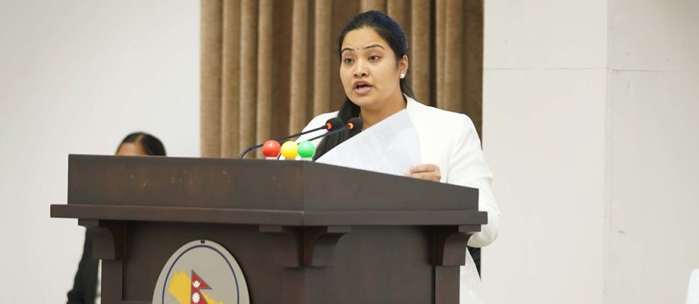 प्रतिनिधि सभाको बैठकबाट सहकारी विधेयक पारित