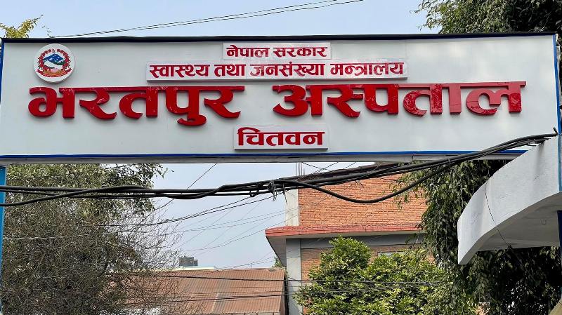 भरतपुर अस्पतालमा सर्पदंशका बिरामीको मृत्यु शून्य