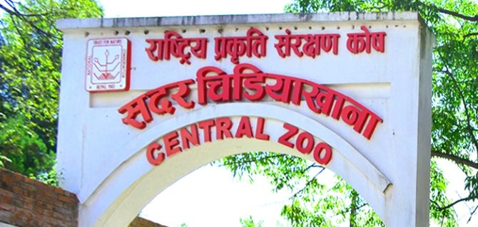 बर्डफ्लु नियन्त्रणपछि जावलाखेल सदर चिडियाखाना आजदेखि पुनः खुला