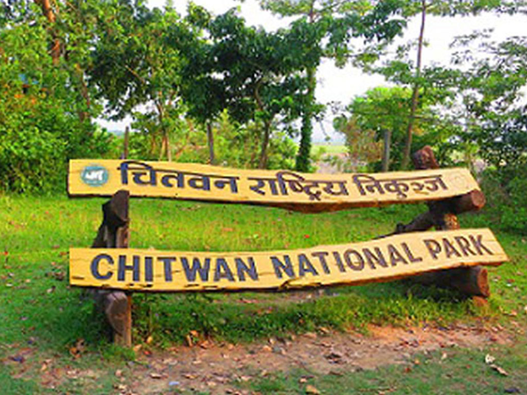 चितवन राष्ट्रिय निकुञ्जमा पर्यटक आगमन बढ्यो, २७ करोडभन्दा बढी राजस्व संकलन