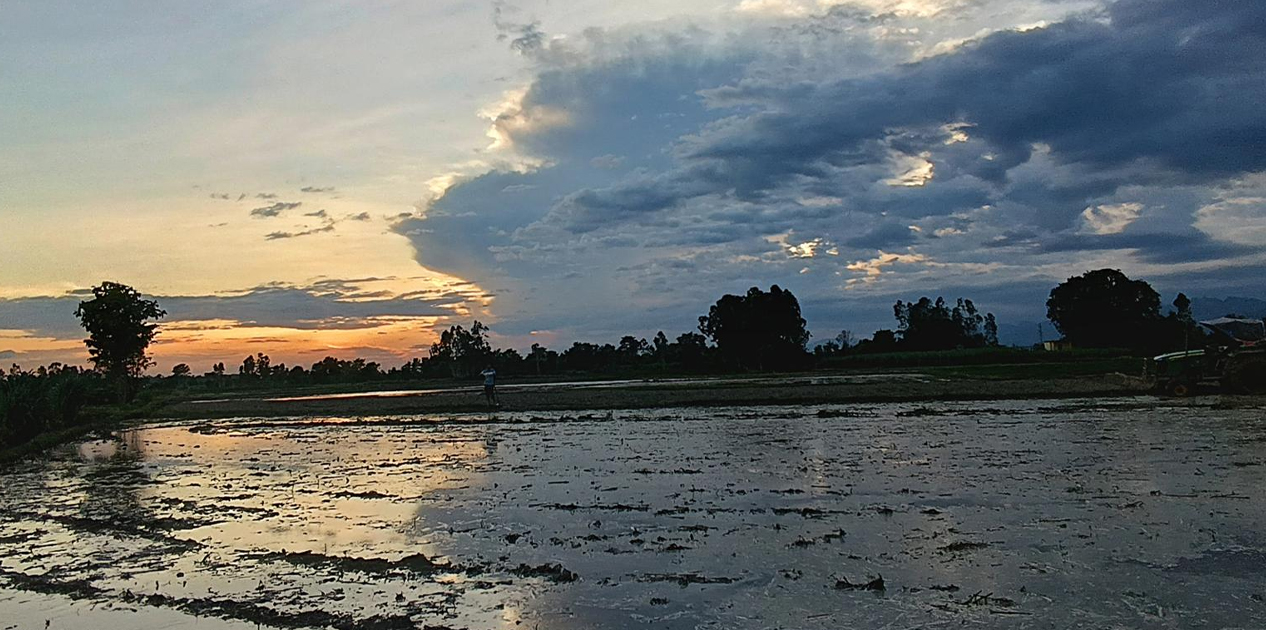 लागत बढेपछि चपेटामा किसान
