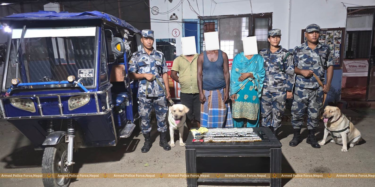 वीरगञ्जबाट छ सय एम्पुल प्रतिबन्धित लागू औषधसहित ३ जना सशस्त्र प्रहरीको नियन्त्रणमा