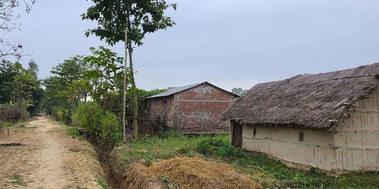 कमैया मुक्तिको २६ वर्ष : समस्या जहाँको त्यहीँ, पुर्जा छ, स्रेस्ता छैन