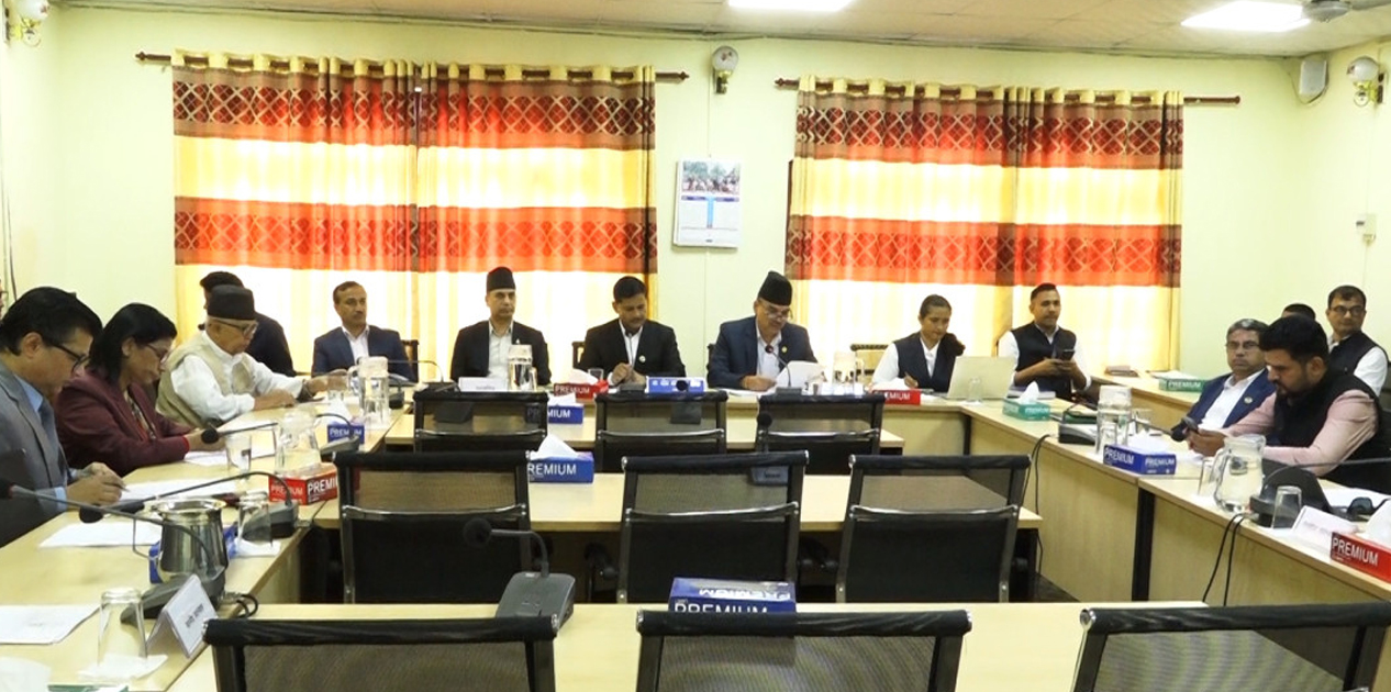 प्रमुख निर्वाचन आयुक्तसहित आयुक्तहरूको सुनुवाइ प्रक्रिया अघि बढ्यो