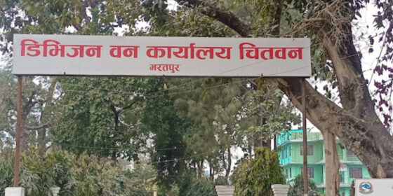 चितवन वन कार्यालय द्वारा एक वर्षमा ४५ अजिङ्गर उद्धार
