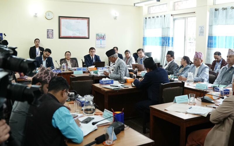 शिक्षासहित चारवटा समितिको बैठक बस्दै