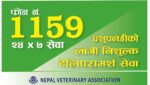 बाढी प्रभावित पशुपन्छीको उपचारमा २४ घण्टे सेवा, ११५९ हटलाइन सञ्चालन