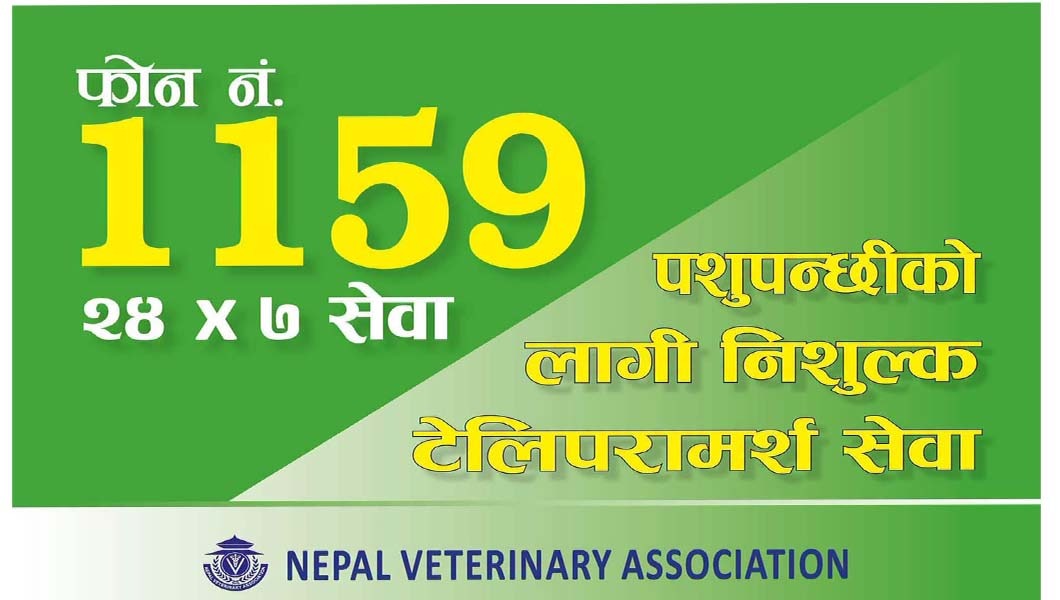 बाढी प्रभावित पशुपन्छीको उपचारमा २४ घण्टे सेवा, ११५९ हटलाइन सञ्चालन