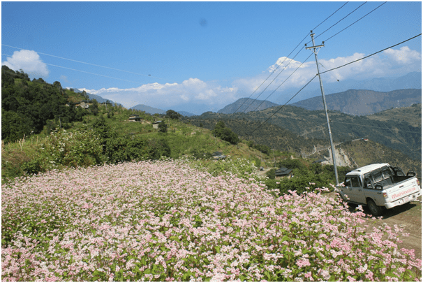 पन्थोक र जुग्जामा राष्ट्रिय प्रसारण लाइनको विद्युत् विस्तार