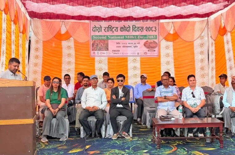 दोस्रो राष्ट्रिय कोदो दिवसः कोदोप्रति दृष्टिकोण बदल्न जरुरी छ