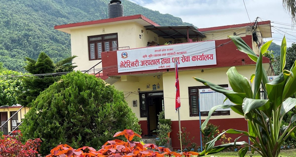 बृहत्तर पशु विकास प्रवर्द्धन कार्यक्रमबाट किसान लाभान्वित