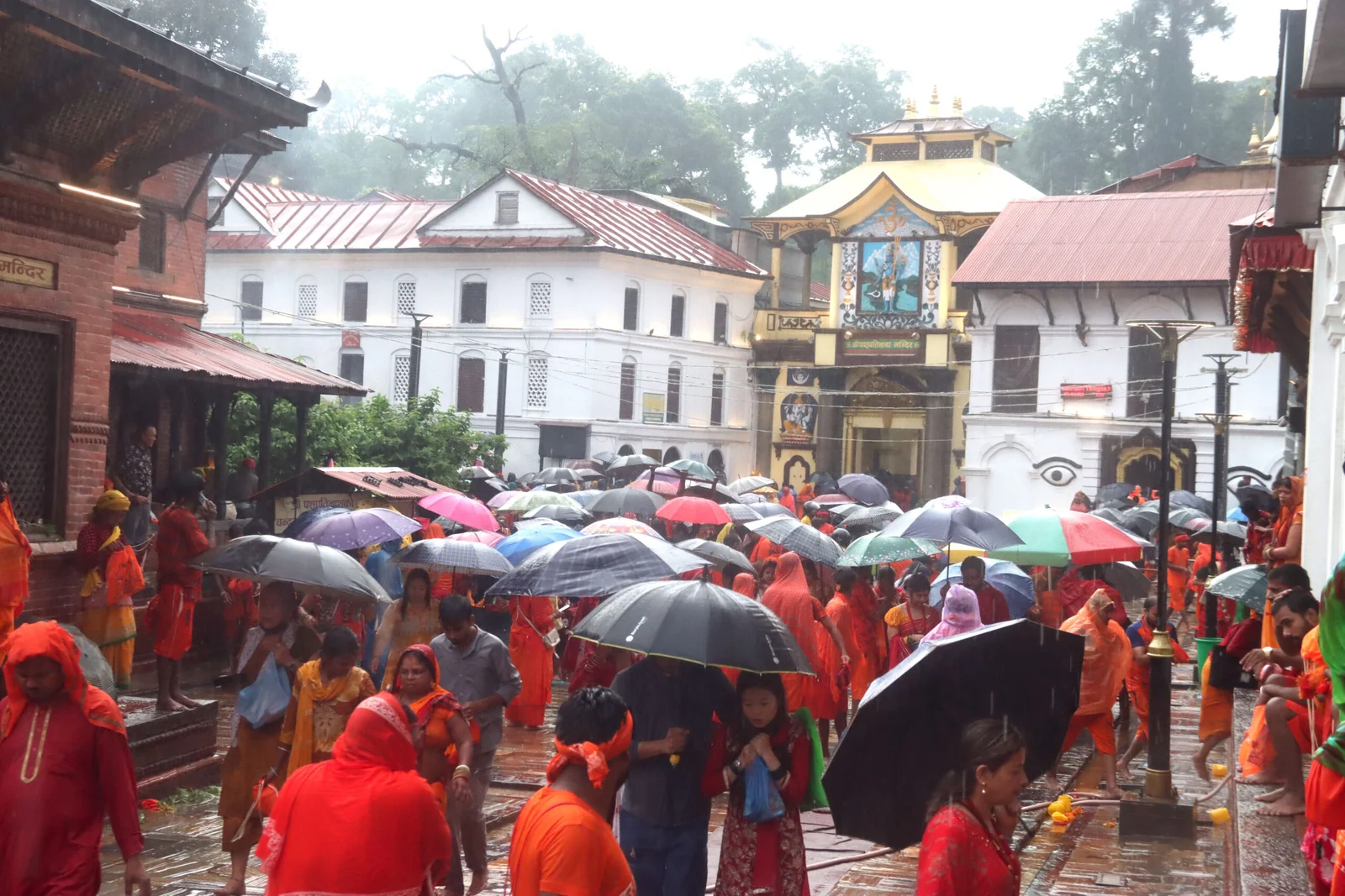 आज साउनको अन्तिम सोमबार, पशुपतिनाथमा दर्शनार्थीको घुइँचो