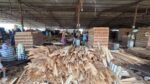 भेनियर उत्पादनसँगै स्थानीय रोजगारी बढाउँदै सुनौलो प्लाइ उद्योग