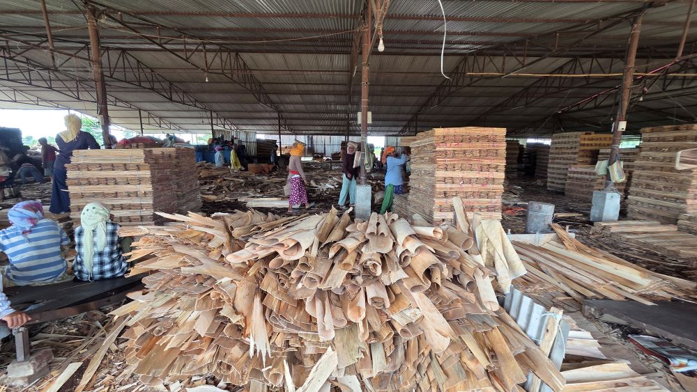 भेनियर उत्पादनसँगै स्थानीय रोजगारी बढाउँदै सुनौलो प्लाइ उद्योग