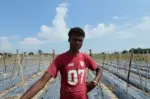 कोशीले जग्गा बगाएपछि भाडाको खेतमा तरकारीखेती गर्दै राकेश